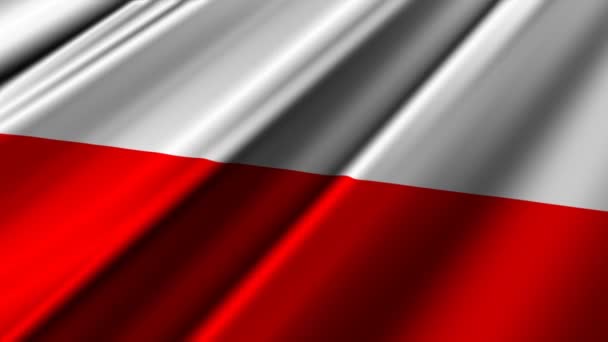 Polen flagga — Stockvideo