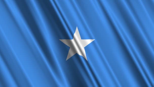 Bendera Somalia — Stok Video