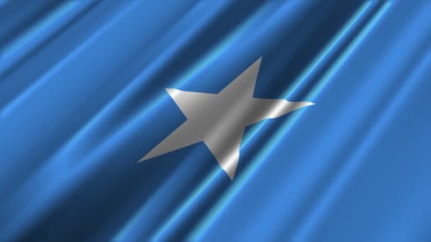 Flaga Somalii — Wideo stockowe