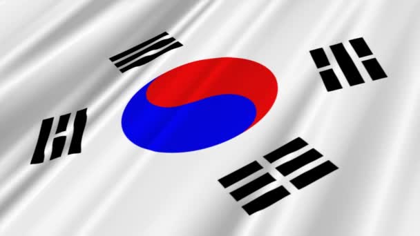 South Korea Flag — Stock Video