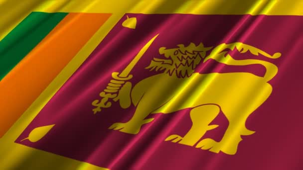 斯里兰卡国旗 — 图库视频影像