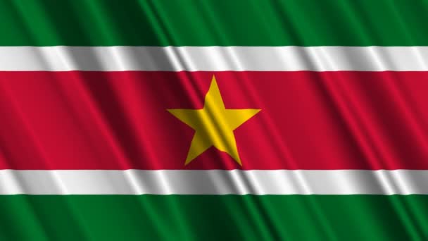 Surinams flagga — Stockvideo