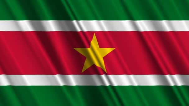 Suriname Drapeau — Video