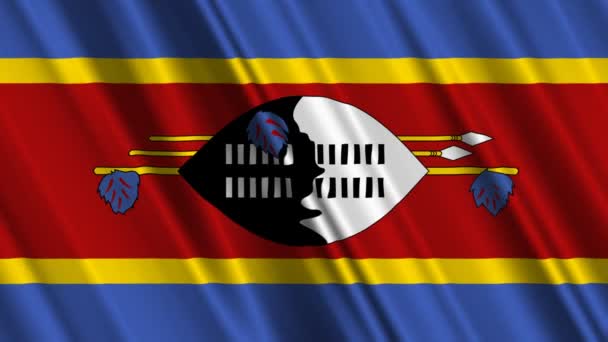Swaziland Drapeau — Video
