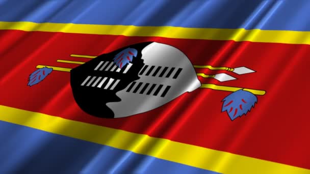 Флаг Свазиленда — стоковое видео