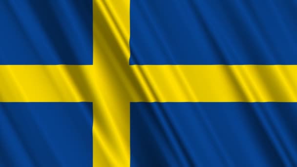 Schwedische Flagge — Stockvideo