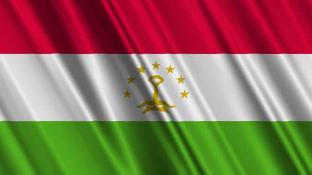 Tajikistan Flag — Stock Video