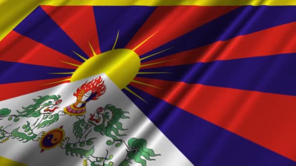 Vlag van Tibet — Stockvideo