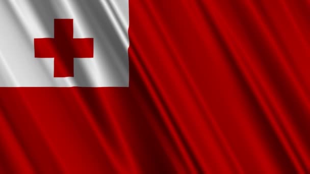 Tonga Flag — Stock Video