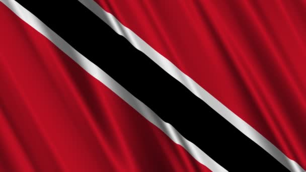 Vlag van Trinidad en tobago — Stockvideo