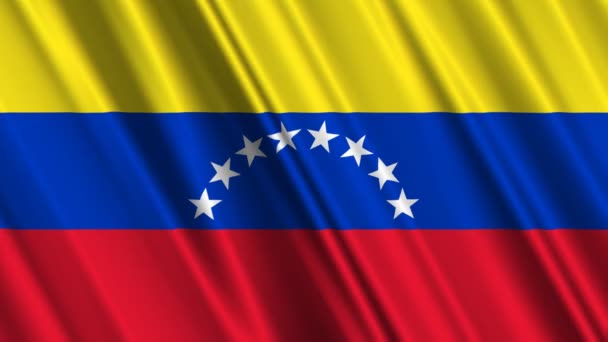Bandeira da Venezuela — Vídeo de Stock