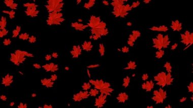 düşen sonbahar yaprakları animasyon