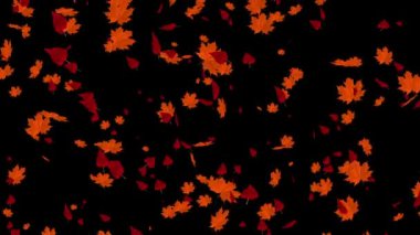 düşen sonbahar yaprakları animasyon