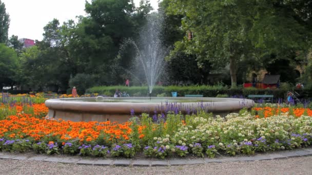 Європейська фонтан в парку — стокове відео
