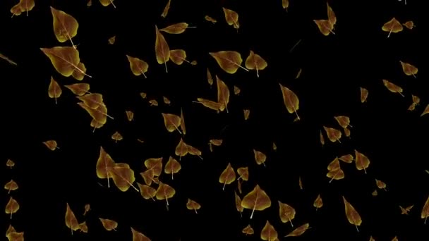 떨어지는을 잎 애니메이션 — 비디오