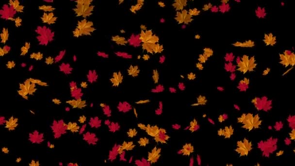 Chute automne feuilles animation 