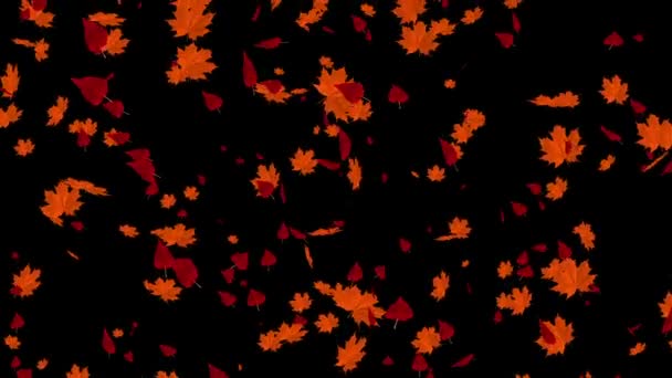 Chute automne feuilles animation — Video