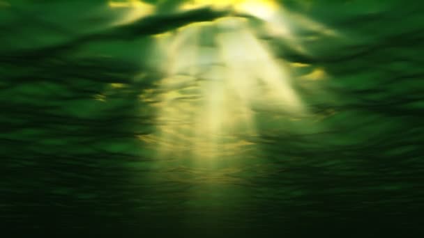 Підводна сцена з тінями — стокове відео