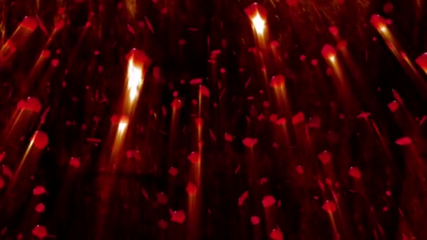 Rose petals falling, animation. — Stock Video