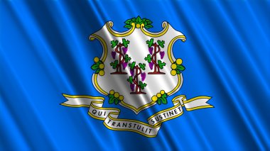 Connecticut Eyalet Bayrağı