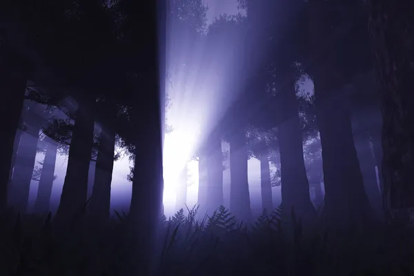 Escena sobrenatural en bosque oscuro profundo 3D render Imágenes de stock libres de derechos