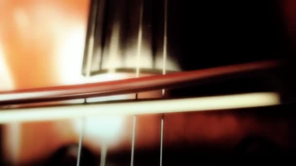 Persoon te spelen de cello — Stockvideo