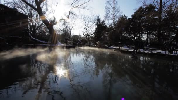 Denkmal im See im Winterpark — Stockvideo