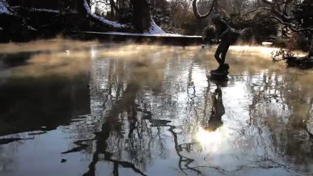 Denkmal im See im Winterpark — Stockvideo