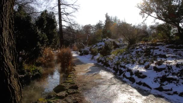 Lago en Parque de Invierno — Vídeos de Stock