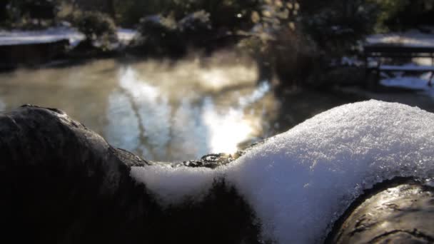 Lac dans le parc d'hiver — Video