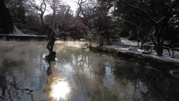 Monumento en el lago en el parque de invierno — Vídeos de Stock