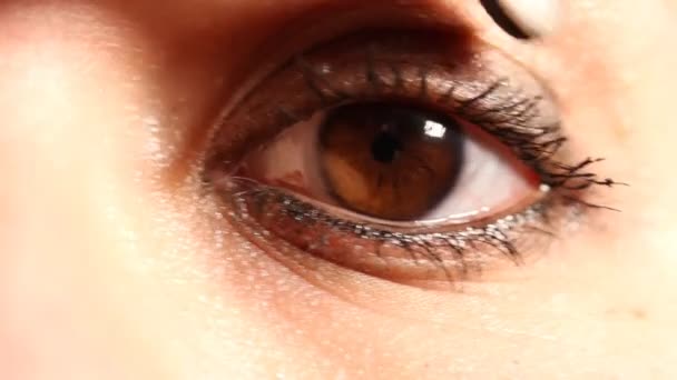 Oeil de femme caucasienne avec lentille de contact 01 