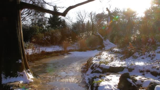 Lac dans le parc d'hiver — Video