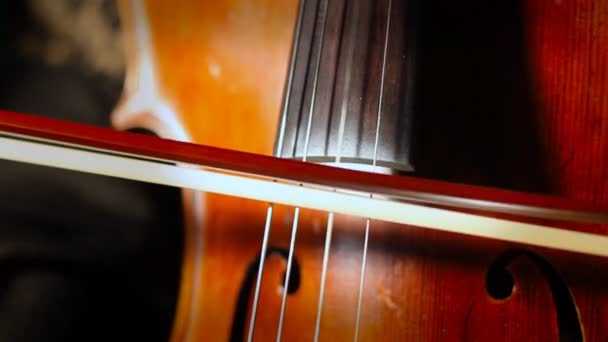 Person playing the cello — Stock Video