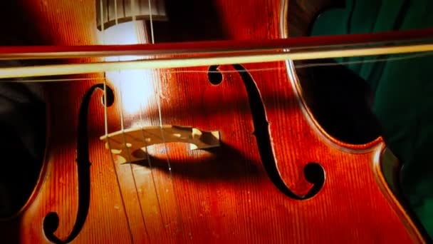 Persona tocando el violonchelo — Vídeos de Stock
