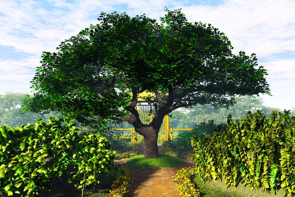 Jardim de ervas e árvore de cereja de verão 3D render — Fotografia de Stock