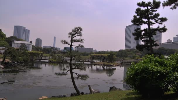 Japanischer garten in tokyo — Stockvideo