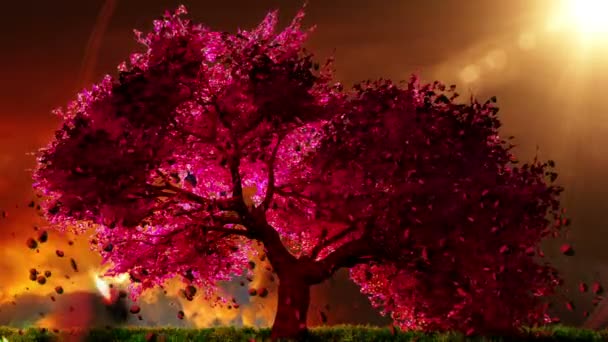 Magical cherry tree, 3D render — Stock Video