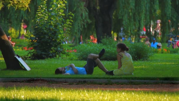 Couple relaxant dans le parc — Video