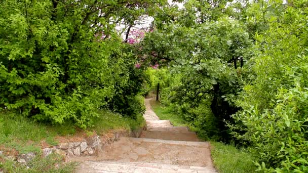 Alte Treppe in der Natur — Stockvideo