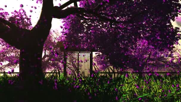 Misteriosas flores de cerezo Jardín japonés de dibujos animados 3D render — Vídeos de Stock