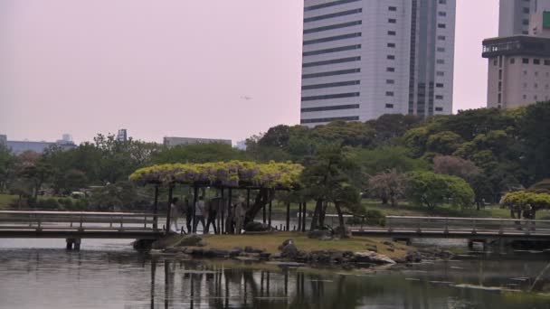 Ιαπωνικός κήπος στο tokyo — Αρχείο Βίντεο