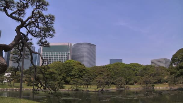 Jardín japonés en tokyo — Vídeo de stock