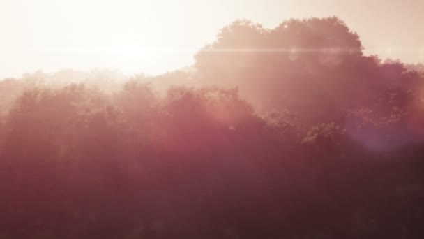Magisk solnedgång över grönskande vildmarken bergen realistiska antenn 3d render - ljusstrålar — Stockvideo