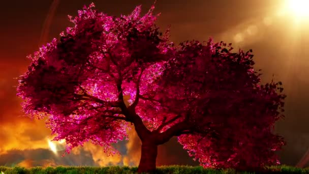 Magical cherry tree, 3D render — Stock Video