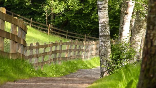 Caminho na natureza — Vídeo de Stock