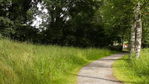 Camino en la naturaleza — Vídeos de Stock