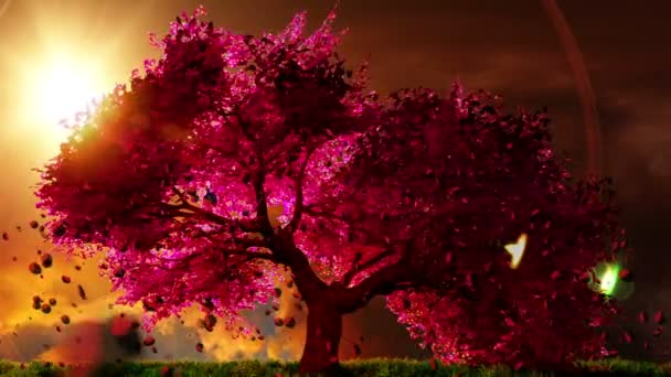 Magical cherry tree, 3D render — Stock Video