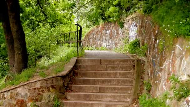 Antigua escalera en la naturaleza — Vídeo de stock