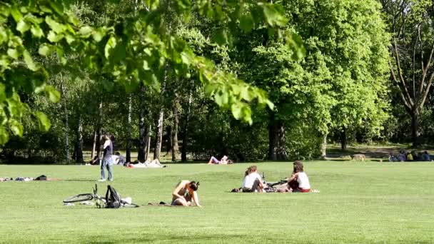 Détente dans le parc — Video